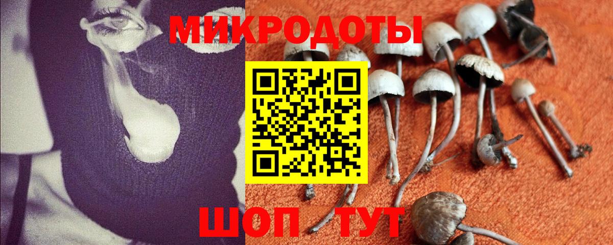 Галлюциногенные грибы MAGIC MUSHROOMS Россошь